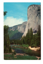 Yosemite National Park, California, Vintage Post Card.