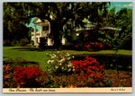 Orton Plantation and Gardens, Vintage Post Card