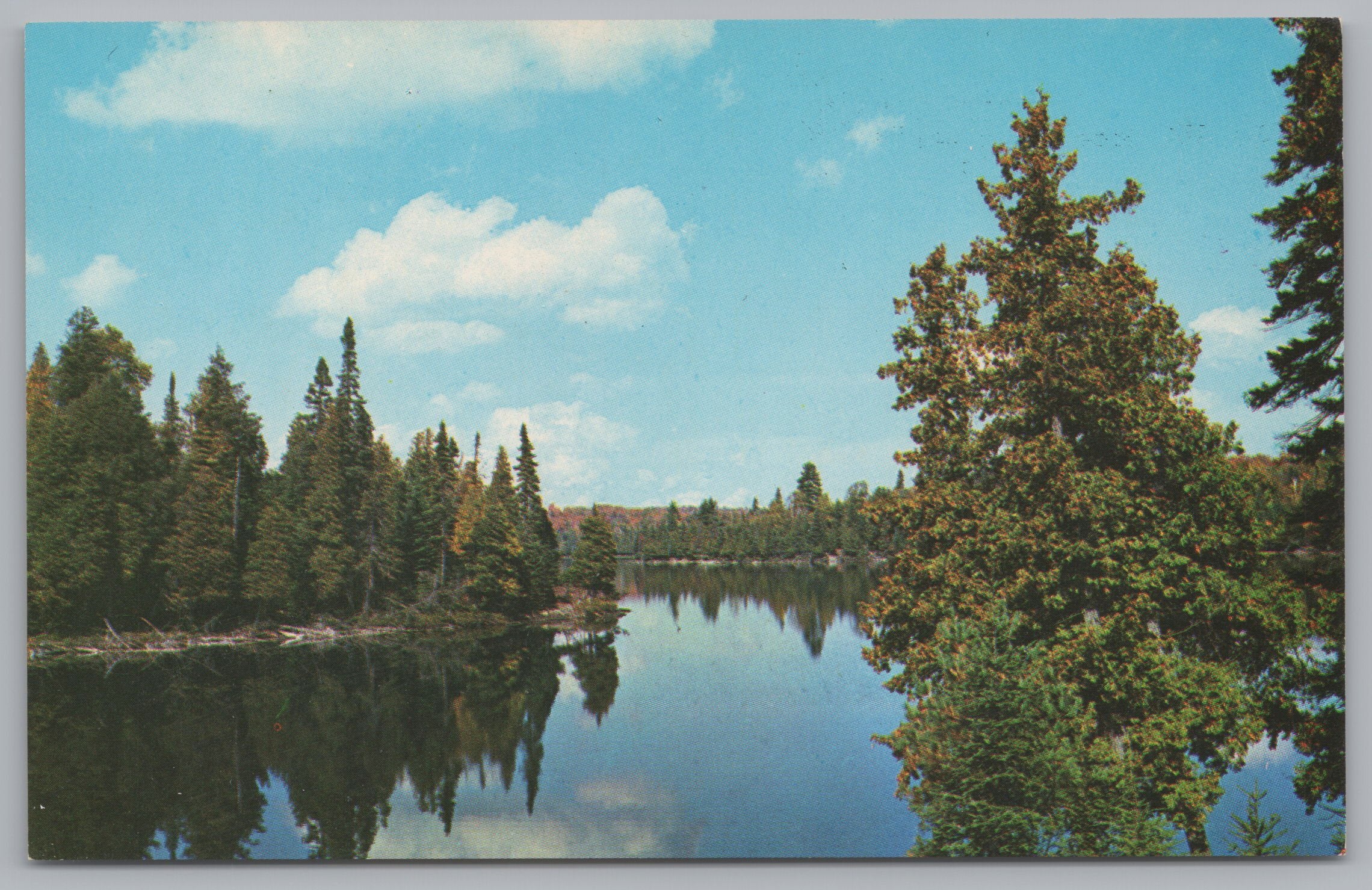 Source Lake In Algonguin Park, Ontario, Canada, Vintage Post Card.