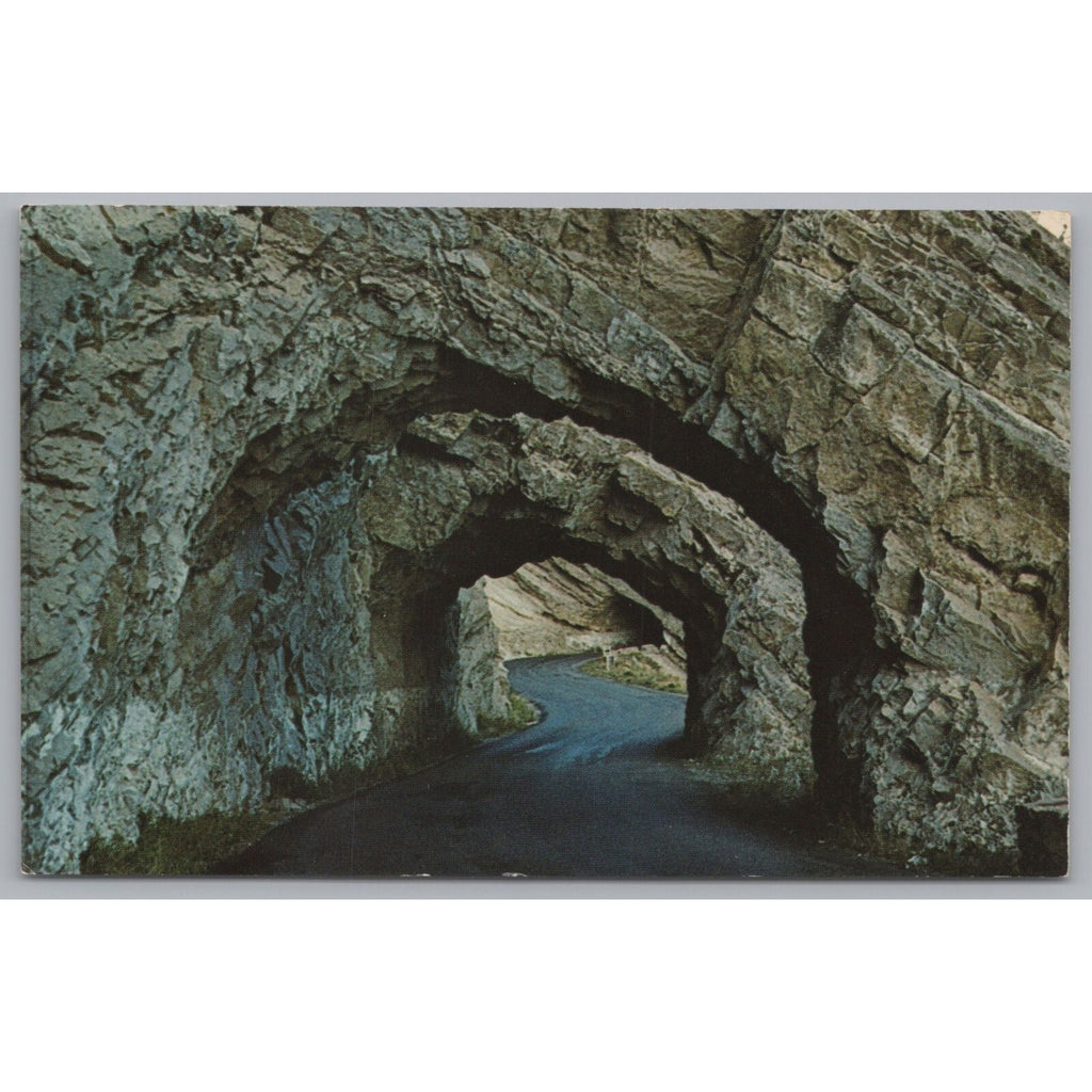 Triple Tunnels, Buffalo Bills, Cody Wyoming, Yellowstone Park, VTG PC