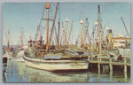 Fishermans Wharf, San Fransisco, California, USA, Vintage Post Card.