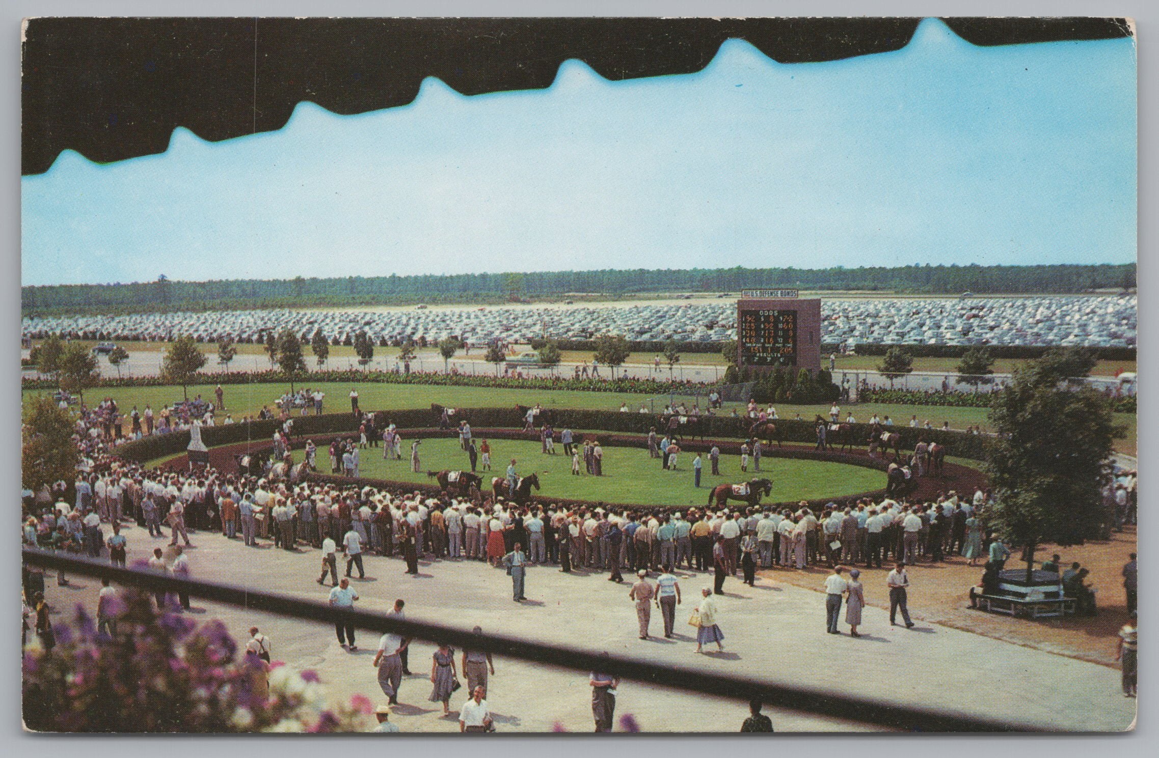 Atlantic City Race Course, Paddock Walking Ring, USA, Vintage Post Card.