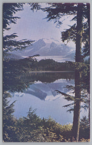Mendenhall Glacier, Through The Trees, Auk Lake, Vintage Post Card.
