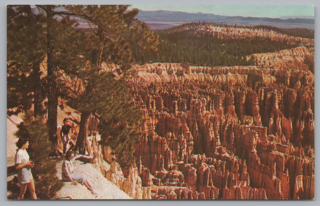 Bryce Canyon National Park, Utah, USA, Vintage Post Card.
