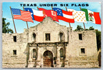 The Alamo, San Antonio, Texas, USA, Vintage Post Card