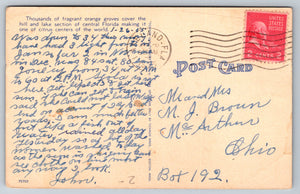 Orange Picking, A Florida Outdoor Sport, USA, Vintage Post Card