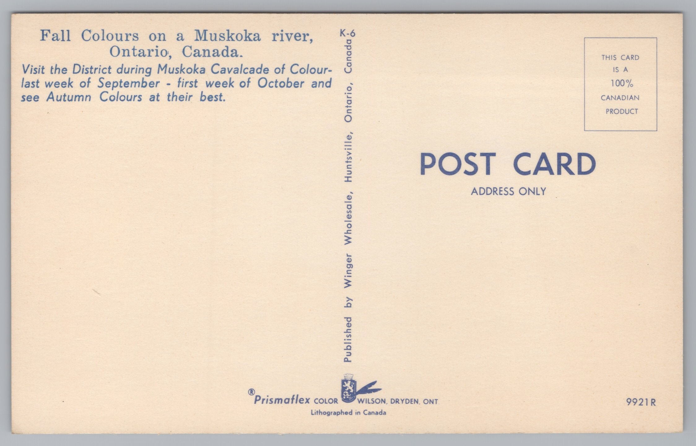 Fall On The Muskoka River, Ontario, Canada, Vintage Post Card.