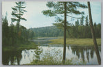 By The Roadside On Highway 60, Algonguin Park, Ontario, Canada, VTG PC