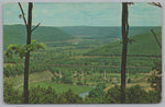 Cornplanter Bridge, Kinzua Valley, Vintage Post Card.