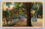 The Zoo, Forest Park, Springfield, Massachusetts, USA, Vintage PC