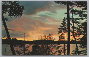 Sunset In Algonguin Park, Ontario, Canada, Vintage Post Card.