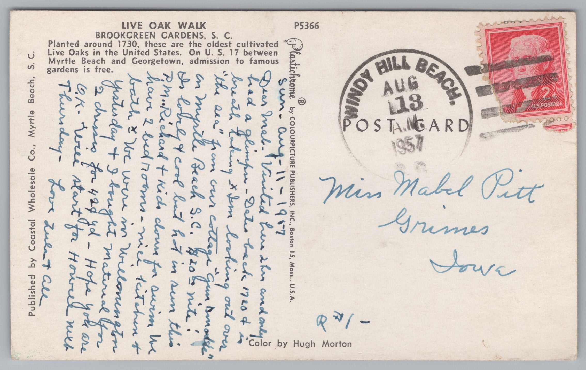 Live Oak Walk, Brookgreen Gardens, Vintage Post Card.