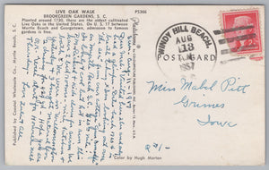 Live Oak Walk, Brookgreen Gardens, Vintage Post Card.
