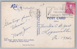 Shell Ginger, Alpinia Nutans, Hawaii Islands, USA, Vintage Post Card