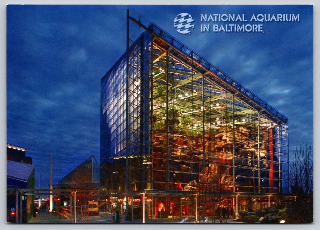 National Aquarium, Baltimore, Vintage Post Card