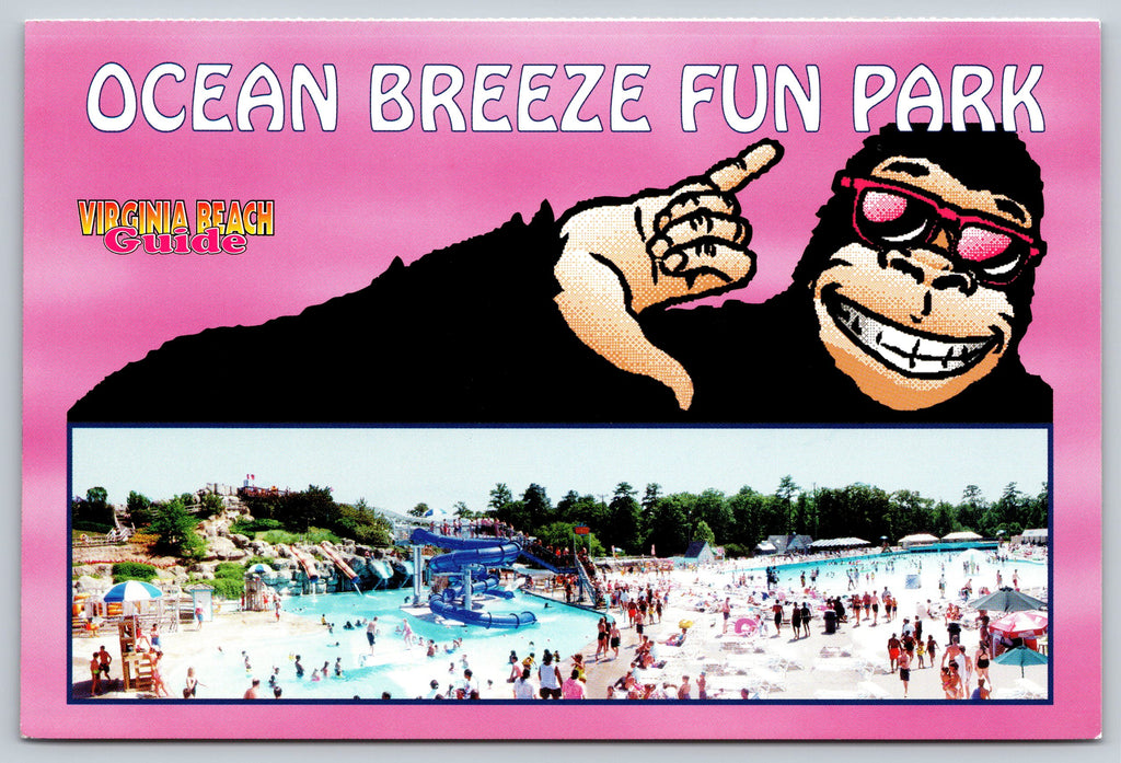 Ocean Breeze Fun Park Virginia Beach Vintage Postcard
