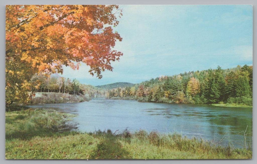 13 Mile Woods The Androscoggin River, Northern New Hampshire, PC