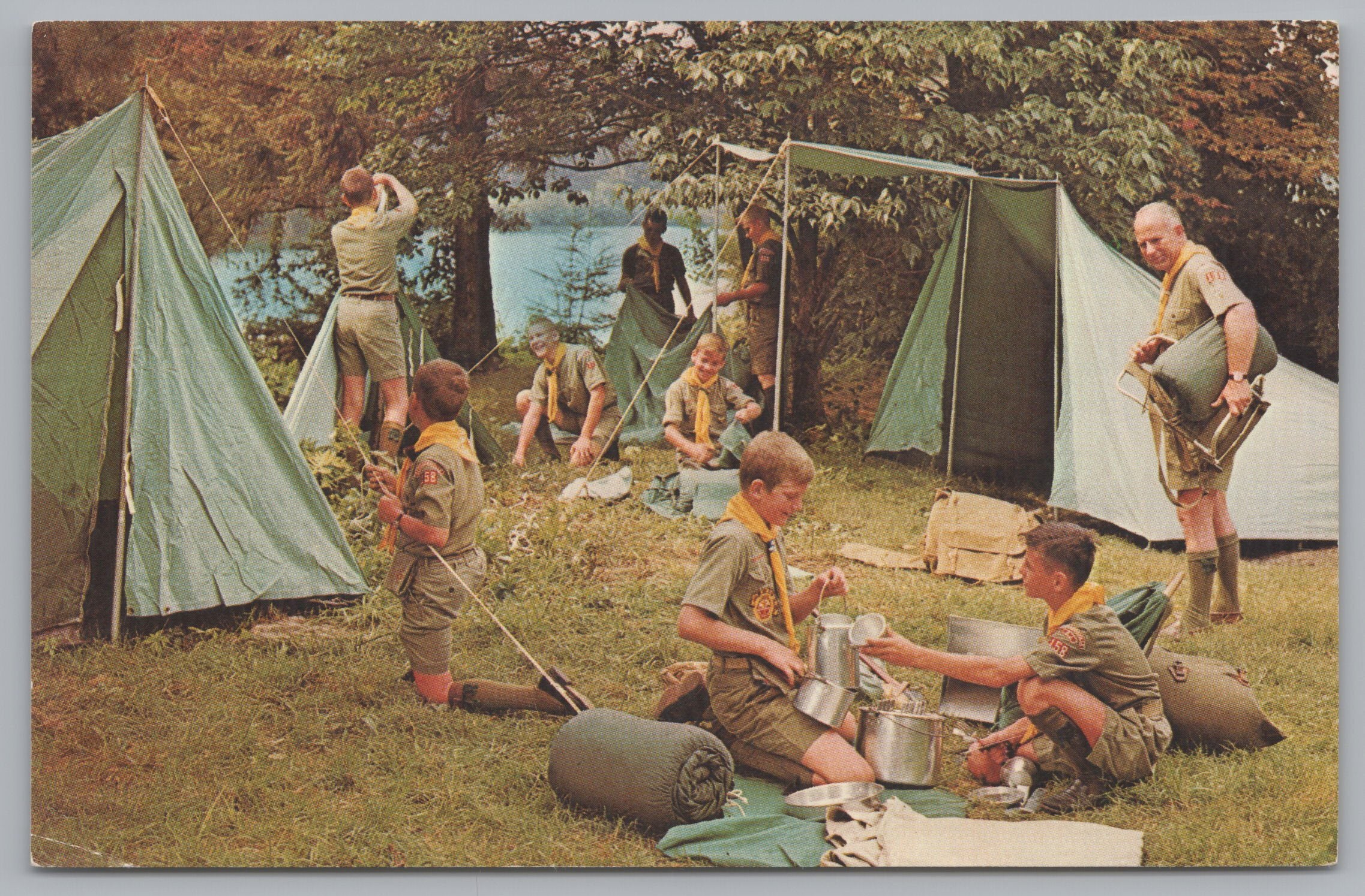 The Boy Scouts Of America, Camping Out In The Woods, Vintage Post Card