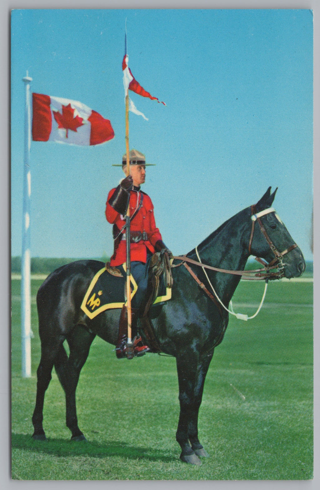 Canadian Mounted Police Offer, Vintage Post Card.