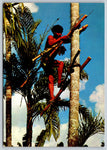 Upper Orinoco, Venezuela, Vintage Post Card