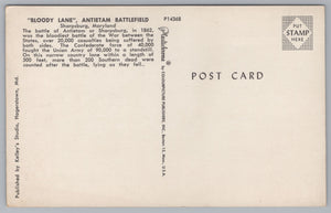 Bloody Lane, Antietam Battlefield, Sharpsburg, Maryland, USA, Vintage Post Card.