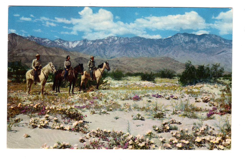 Lofty San Jacinto, Vintage Post Card.