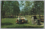 A Roadside Table In Michigan, USA, Vintage Post Card.