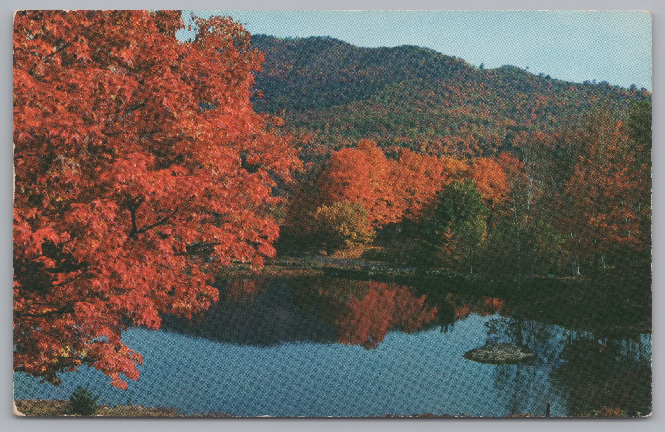 Scenic View The Autumn Colored Trees, Crystal Blue Lake, Vintage PC