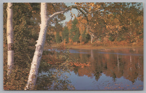 Fall On The Muskoka River, Ontario, Canada, Vintage Post Card.