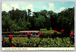 Florida Silver Springs, USA, Vintage Post Card