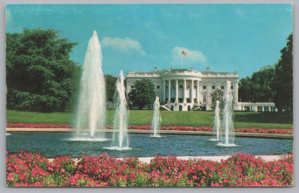 The Capital, White House, Washington DC,  Vintage Post Card
