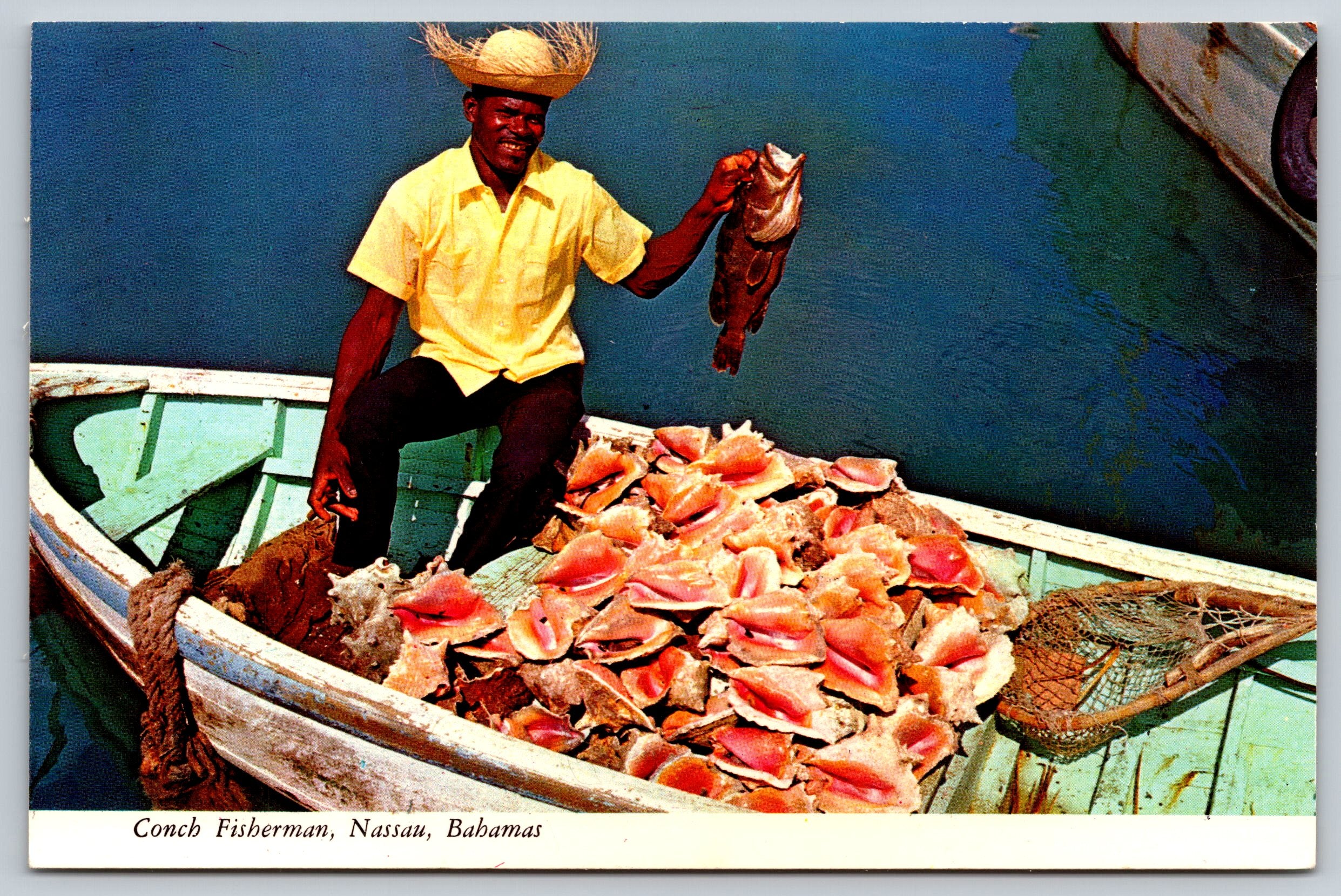 Conch Fisherman, Nassau, Bahamas, Vintage Post Card