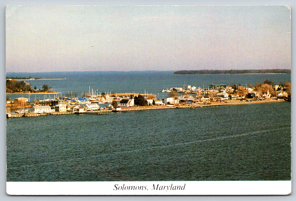 Solomons, Marine Life, Fishing Maryland, Vintage Post Card