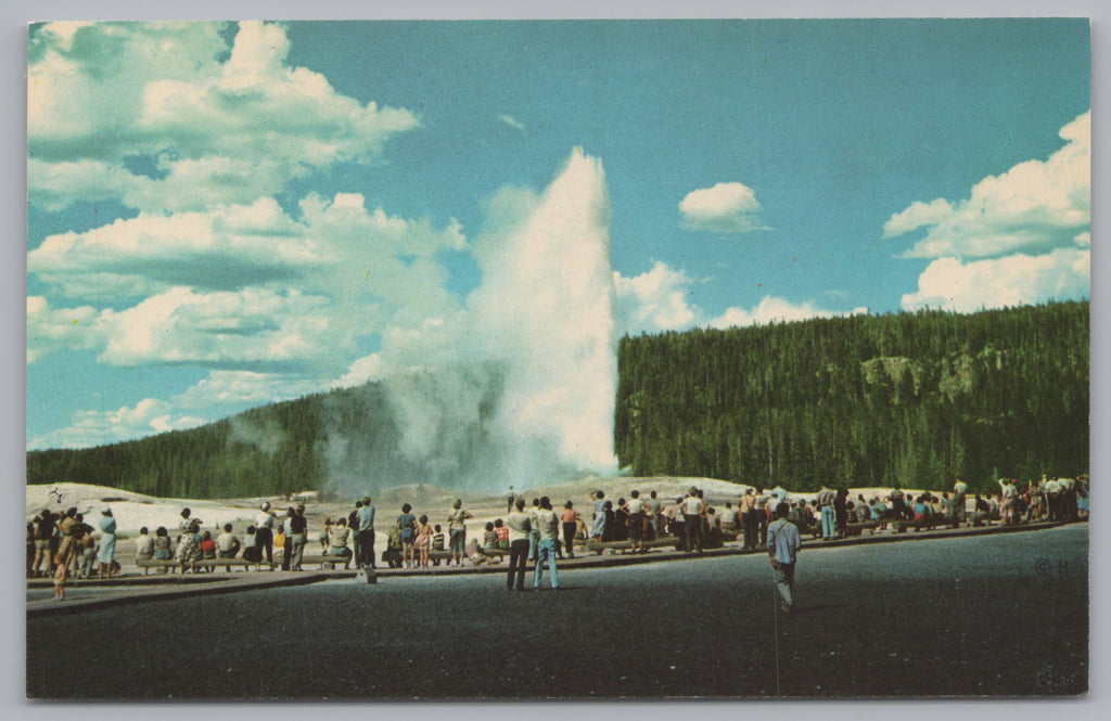 Old Faithful Geyser, Upper Geyser Basin, Yellowstone, Vintage Post Card.