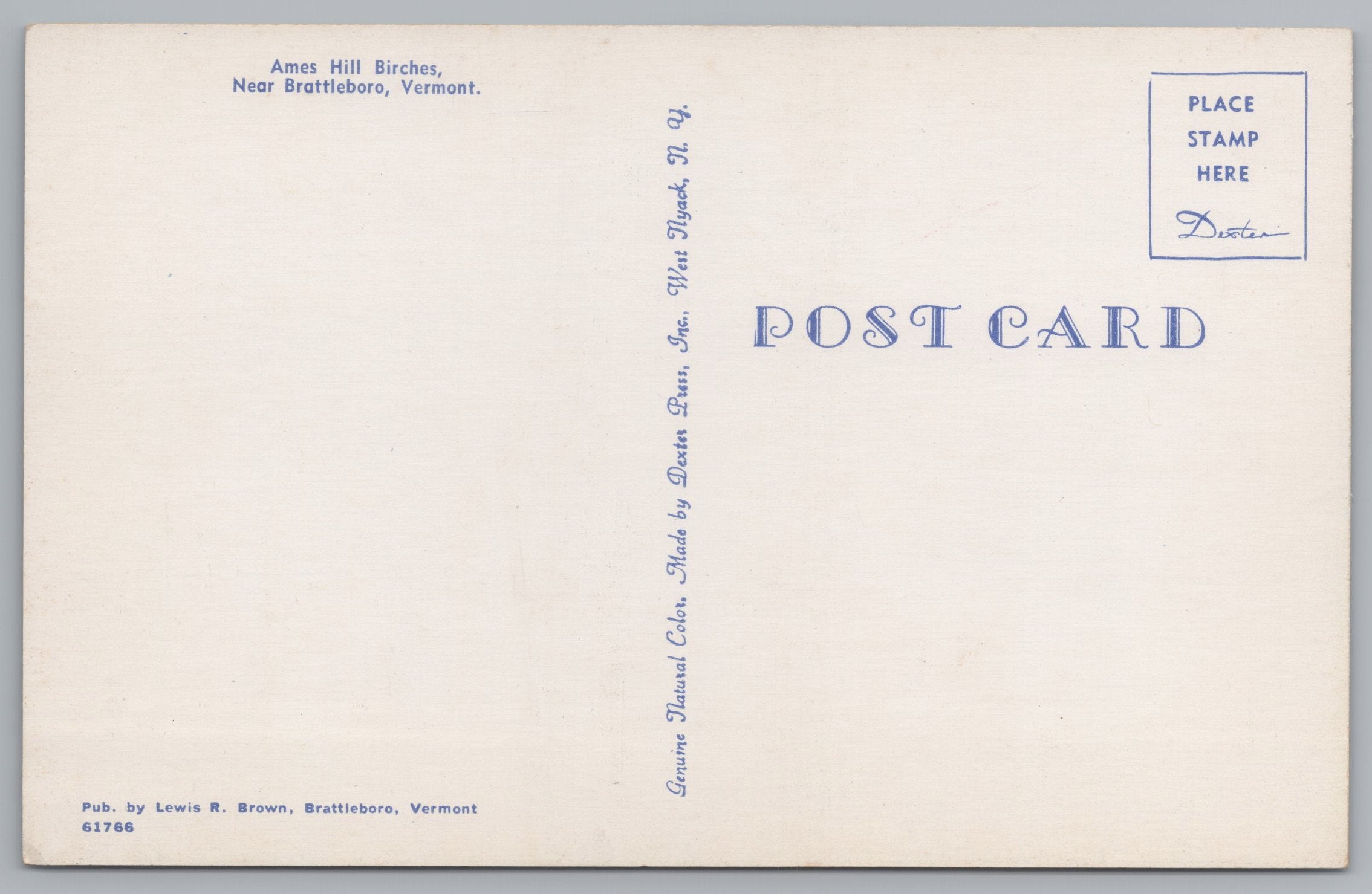 Ames Hill Birches, Brattleboro, Vermont, Vintage Post Card.