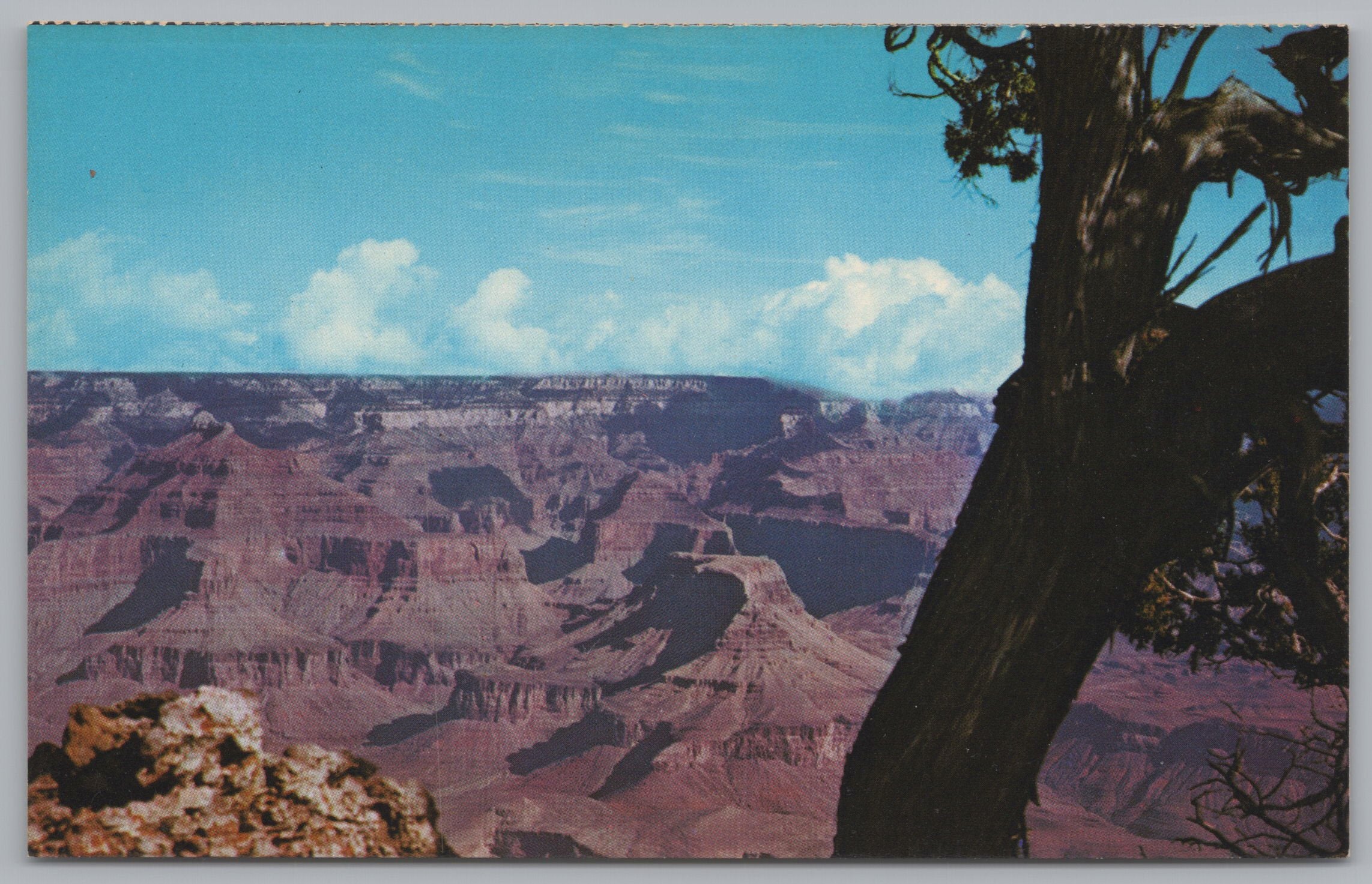 The Grand Canyon National Park, Arizona, USA, Vintage Post Card.