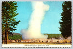 Old Faithful Geyser, Yellowstone Park, Vintage Post Card