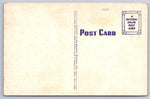 Daniel Baldwin Building, Erie, Pennsylvania, USA, Vintage Post Card