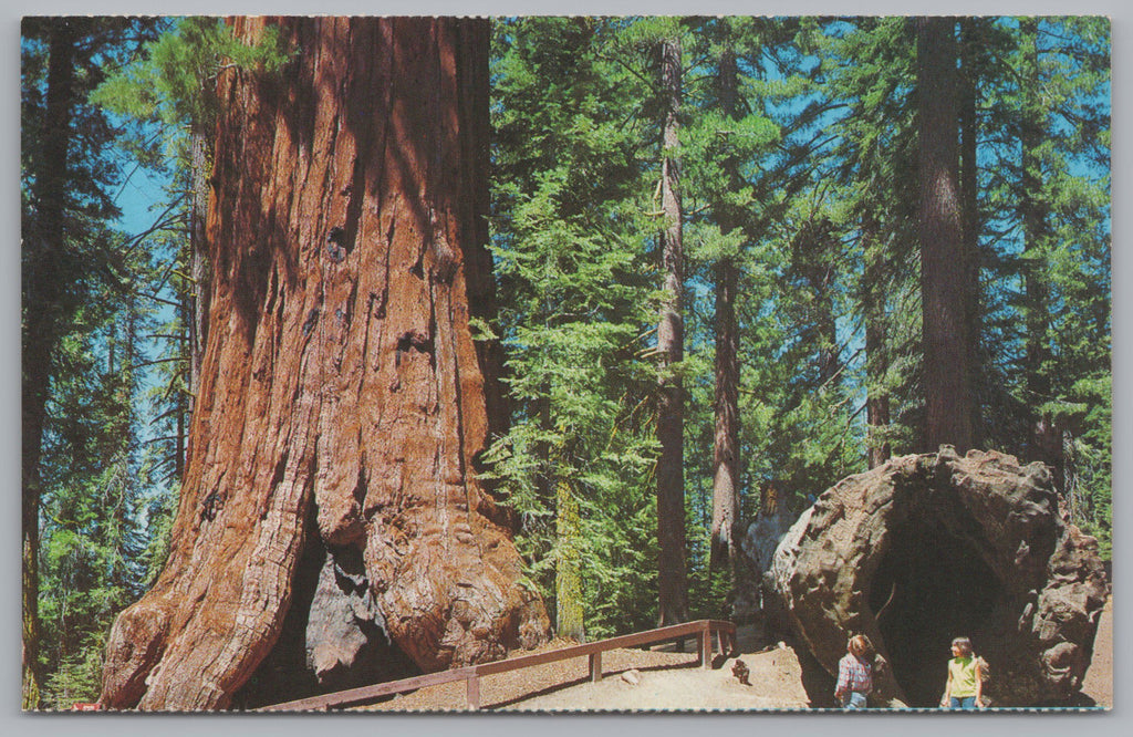 Kings Canyon National Park, California, USA, Vintage Post Card
