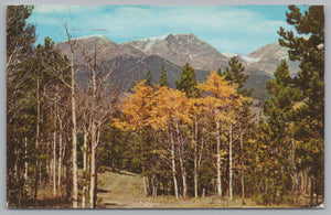 Autumn Scene In The High Mountain Country, Vintage Post Card.