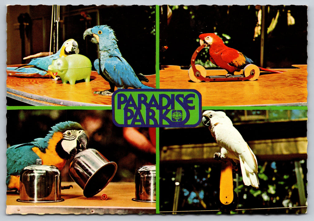 World Famous Bird Show, Honolulu, Hawaii, Vintage Post Card