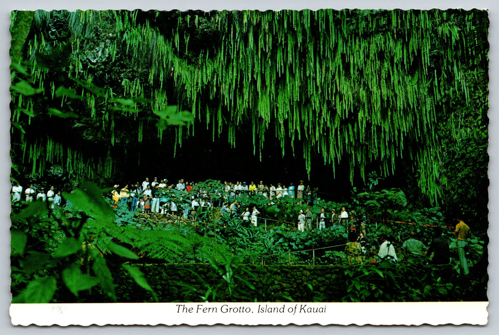 The Fern Grotto, Island Of Kauai, Vintage Post Card