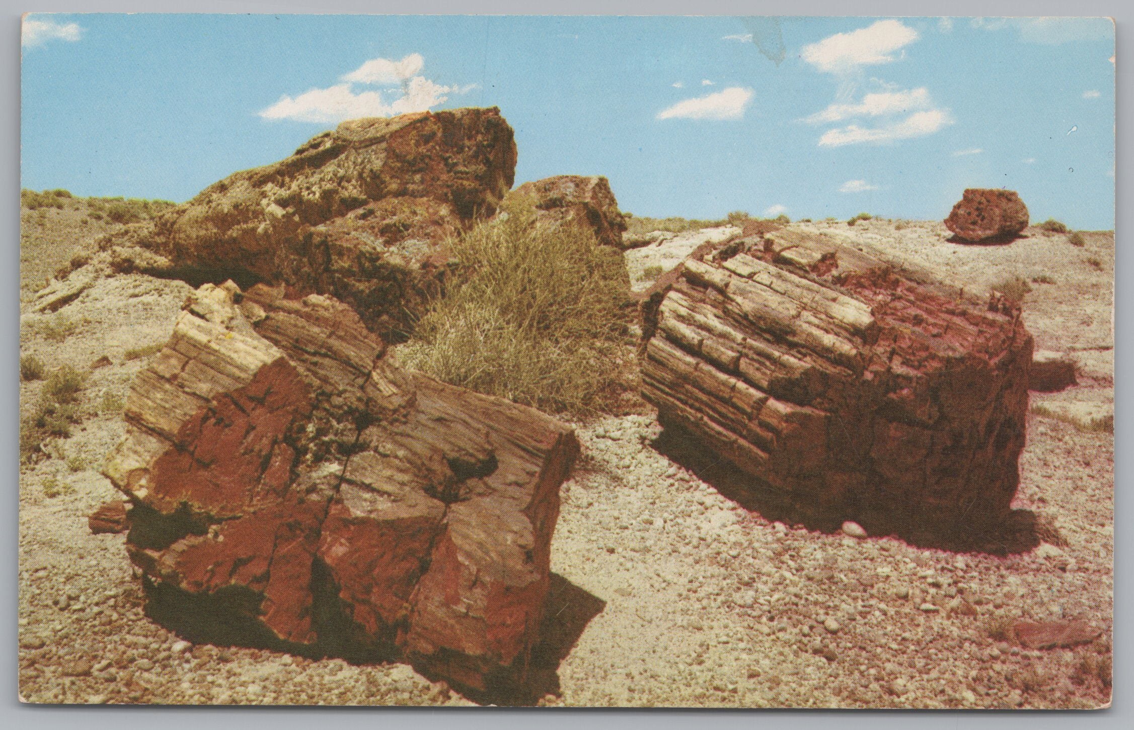 Petrified Logs, Petrified Forest National Monument, Arizona, VTG PC