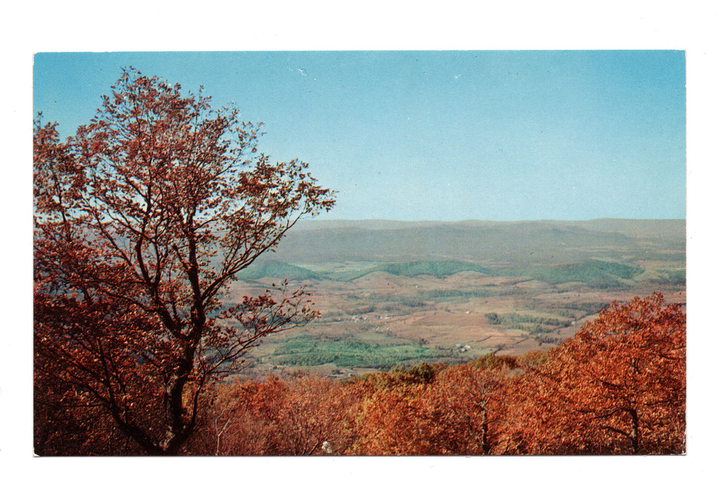 View from Skyline Drive of the Massanuttin Mountains, Vintage Post Card.