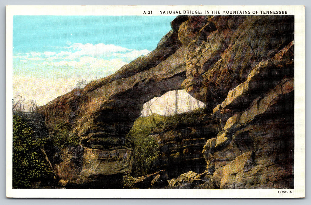 Naturally Formed Bridge In The Mountains Of Tennessee,PC