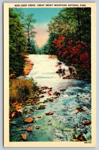 Deep Creek, Great Smokey Mountains National Park, USA, Vintage Post Card