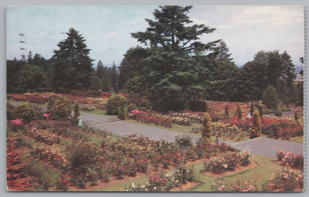 Washington Park Rose Gardens, Portland, USA, Vintage Post Card
