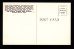 Tom Gaskins Cypress Knee Museum  Vintage Post Card