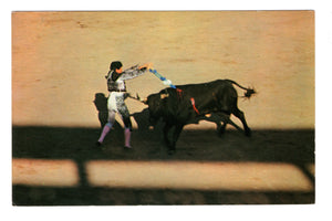 Bull Fight in New Mexico, Banderillas, Vintage Post Card