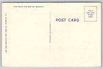 The Squirrel, Nuts About This Place, USA, Vintage Post Card